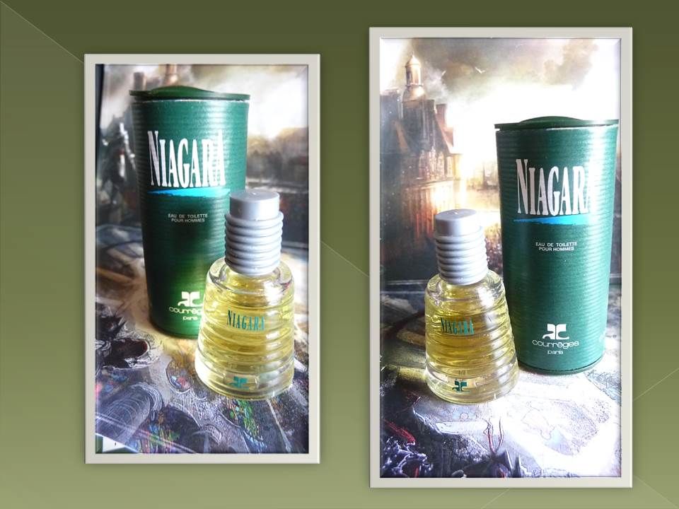 Miniature  Niagara  (Courr�ges) 10 Nice (06)