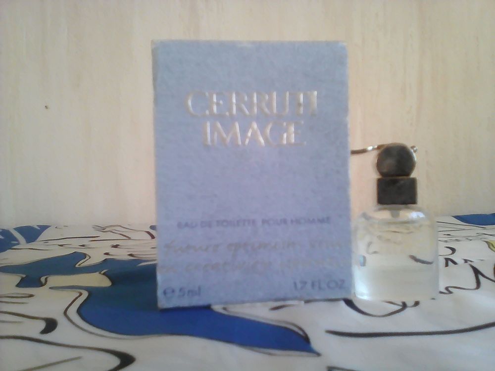 MINIATURE DE PARFUM 5 Trouy (18)