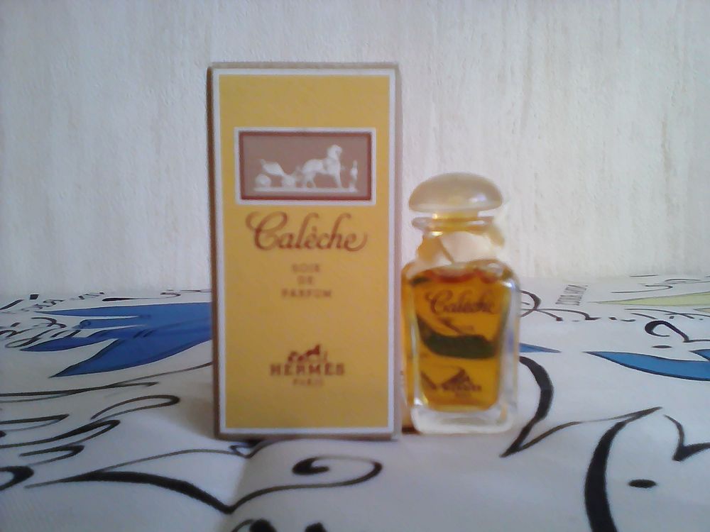 MINIATURE DE PARFUM 10 Trouy (18)