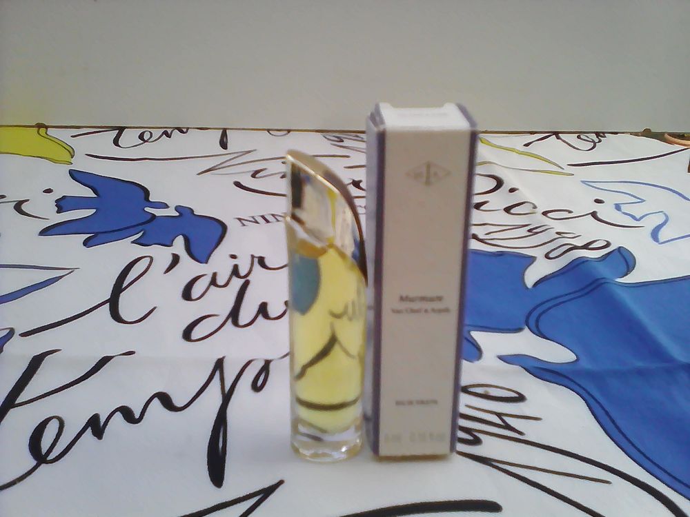 MINIATURE DE PARFUM 6 Trouy (18)