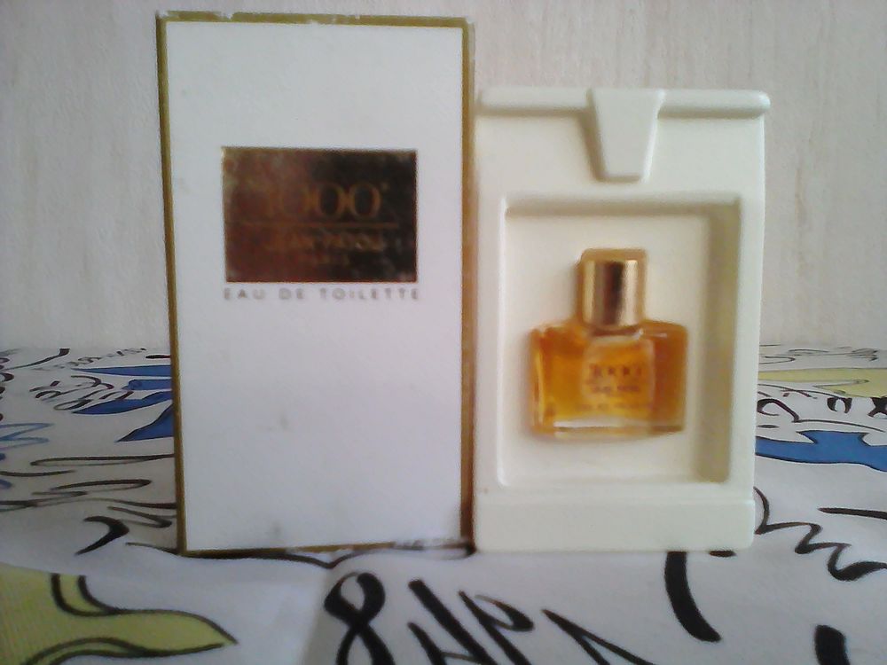 MINIATURE DE PARFUM 8 Trouy (18)