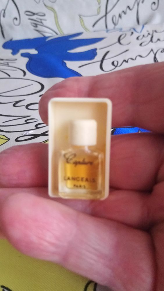 MINIATURE DE PARFUM 15 Trouy (18)