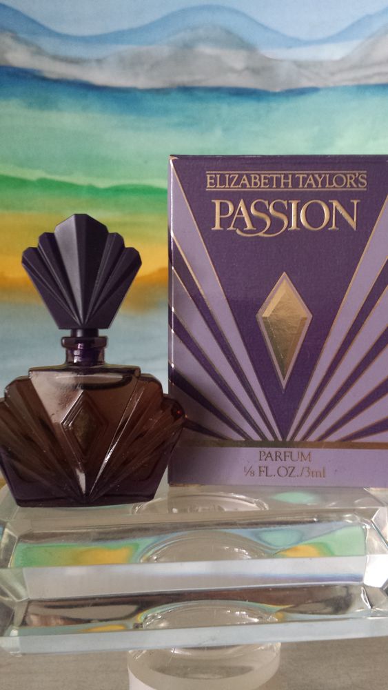 MINIATURE  PASSION  15 Nice (06)