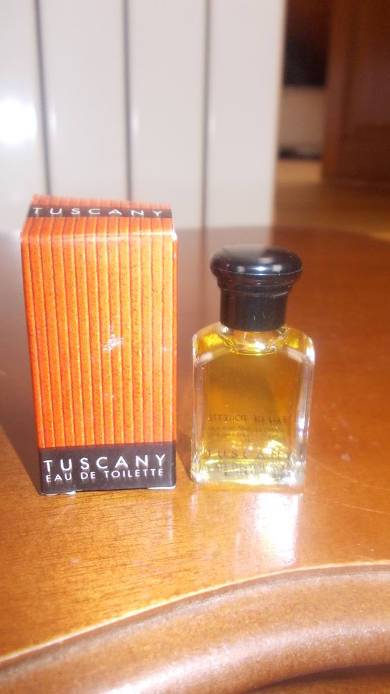 miniature Tuscany 8 Thiais (94)
