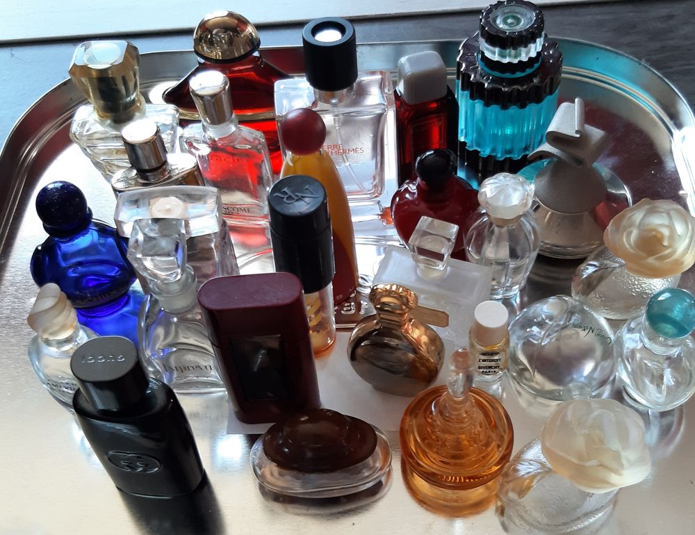 Miniature vide 1 Dijon (21)