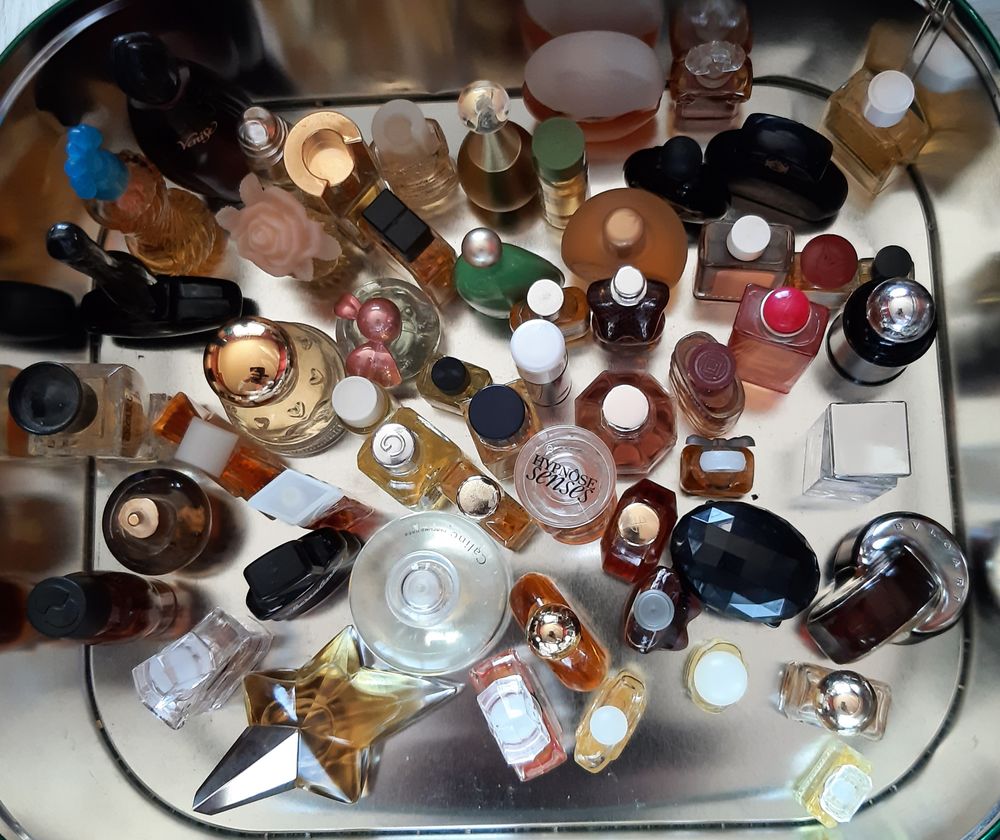 Miniature 3 Dijon (21)