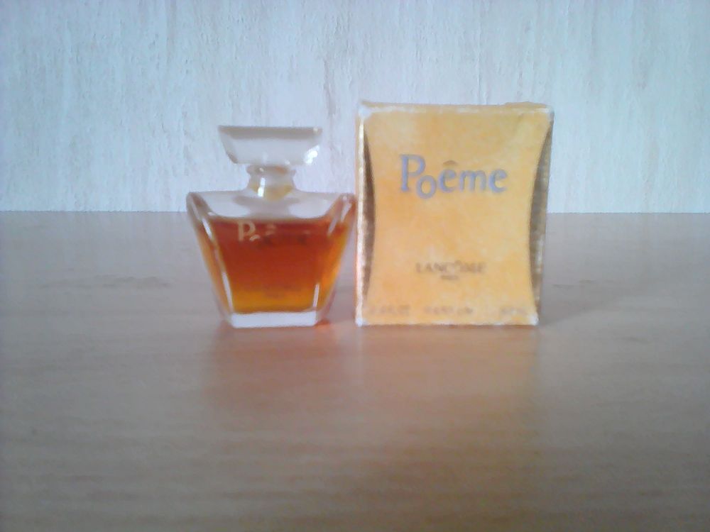 MINIATURES DE PARFUM 5 Trouy (18)