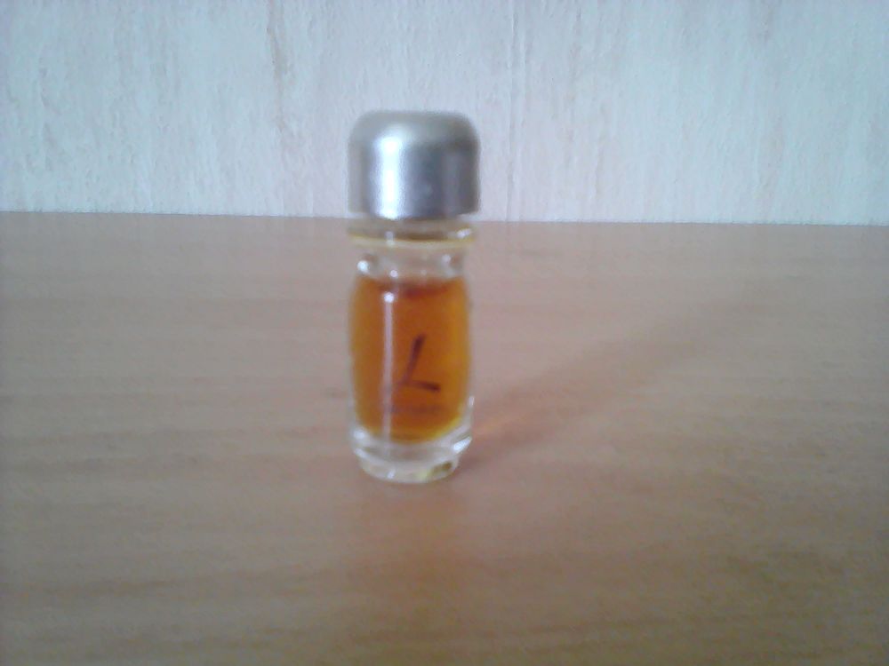MINIATURES DE PARFUM 4 Trouy (18)