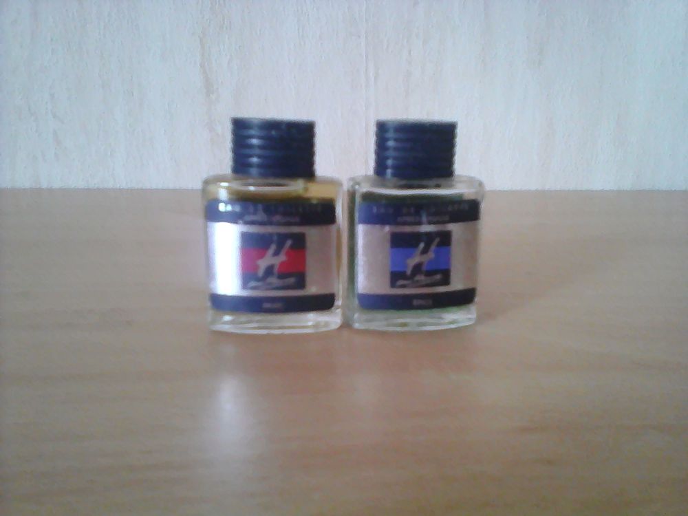 MINIATURES DE PARFUM 10 Trouy (18)
