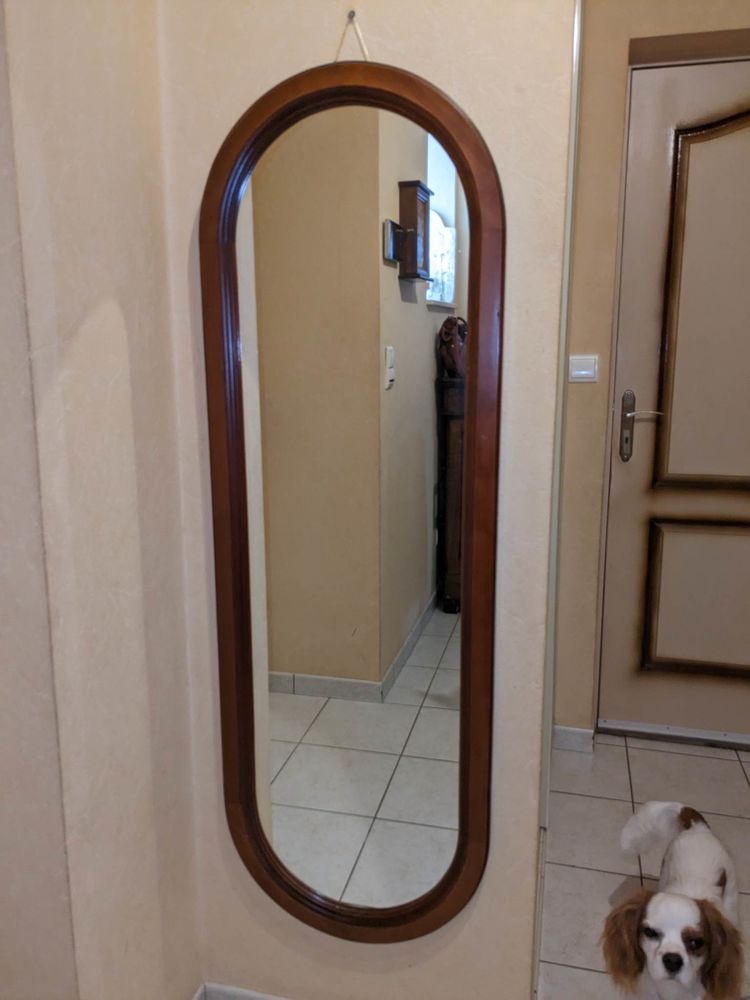  miroir 141x46.5 30 Saint-Barth�lemy-Lestra (42)