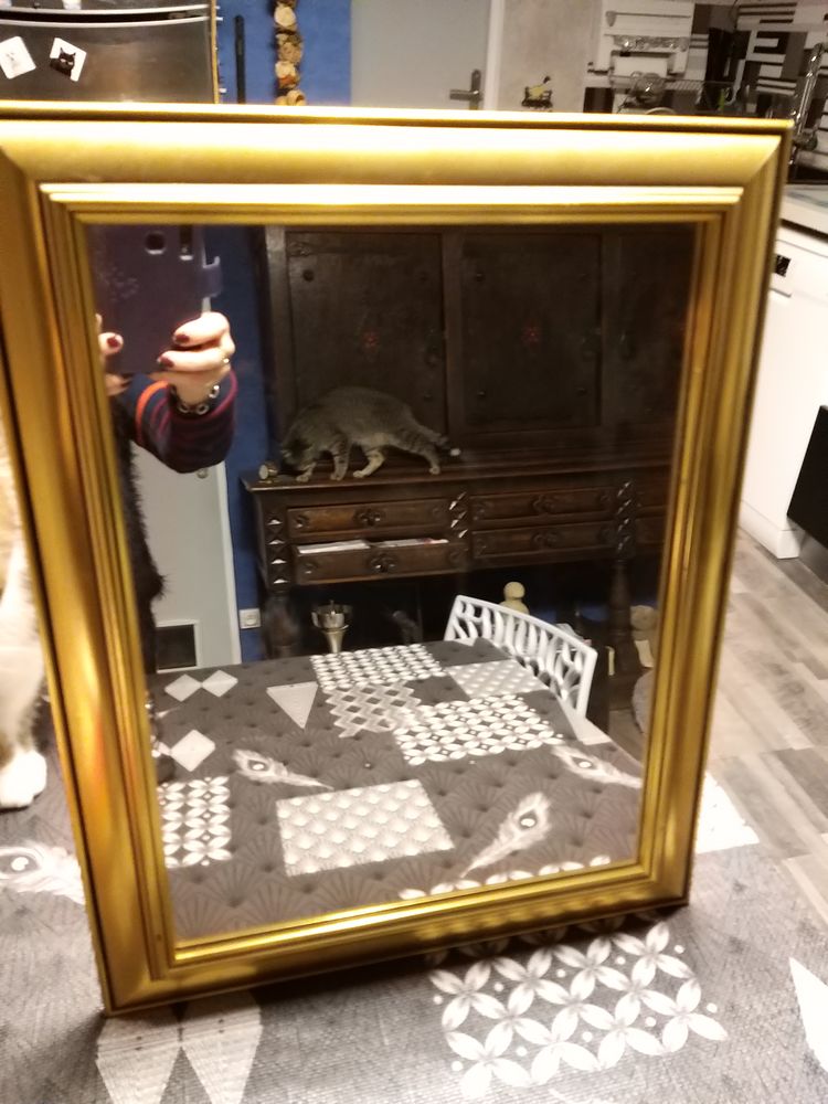 Miroir  38/48cm. 6 Montlu�on (03)