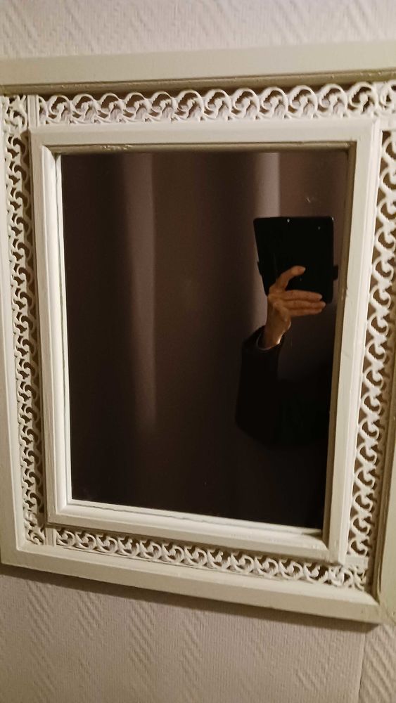 miroir beige 10 Montpellier (34)