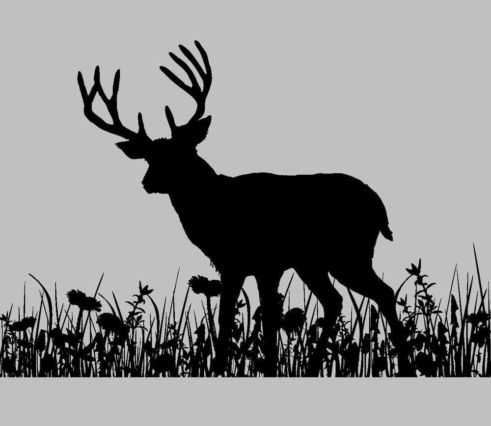 Miroir grav� - Gravure laser - Cerf mod�le 2 15 Metz (57)