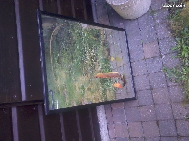 Miroir motif jonque 10 Tourcoing (59)