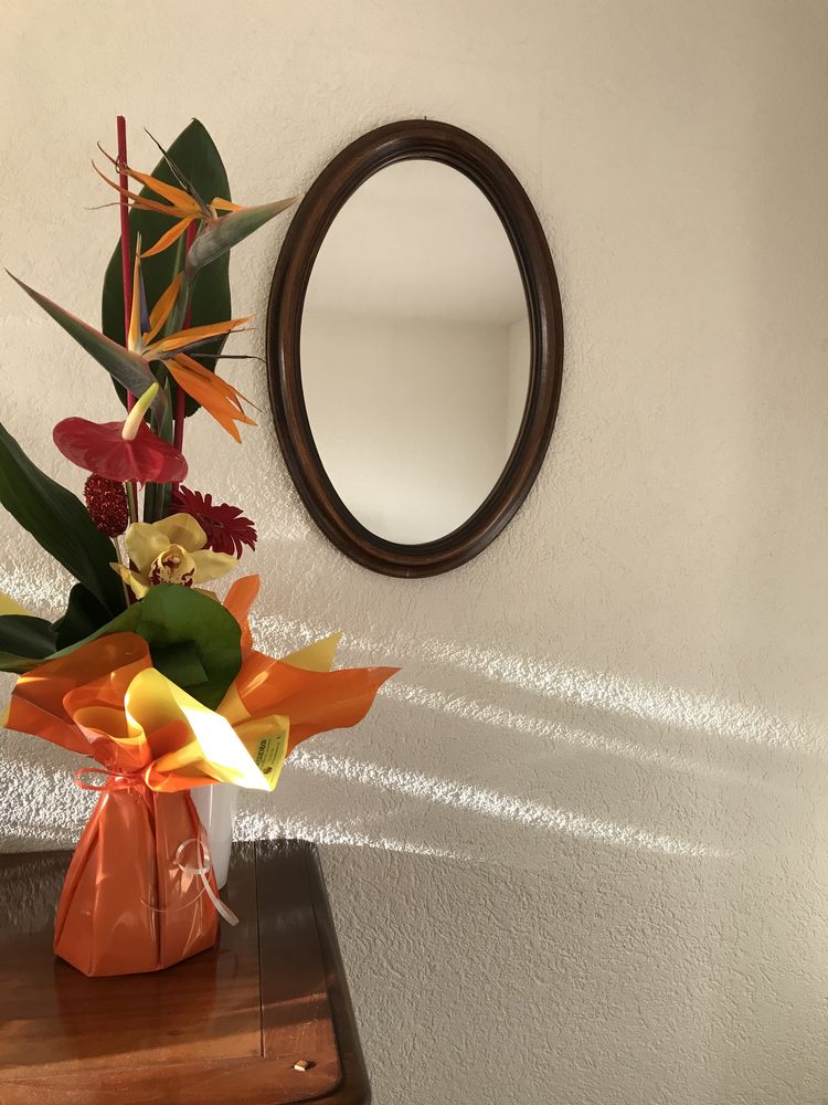 Miroir ovale 30 Annemasse (74)