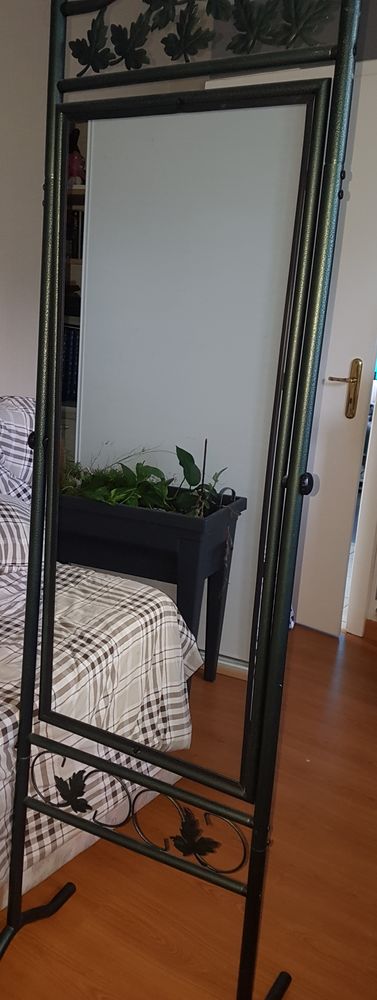 Miroir sur pied 30 Sarreguemines (57)