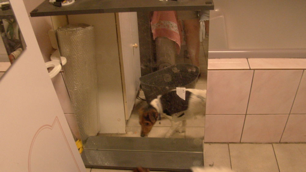 miroir salle de bain 30 Le Parcq (62)