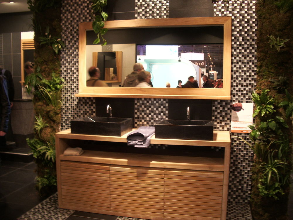 miroir de salle de bain 50 Boissy-sans-Avoir (78)