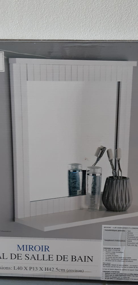 Miroir 10 Cayenne (97)