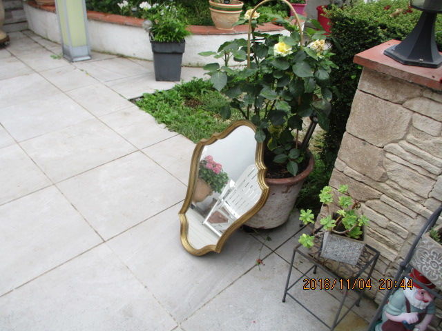 miroir 60 Castres (81)