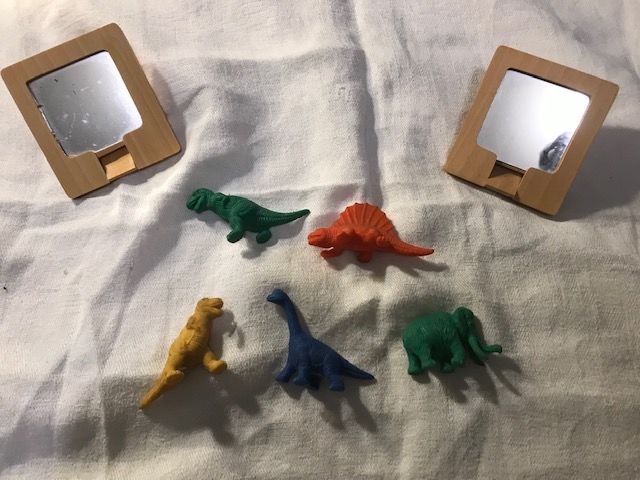 Miroirs et b�b�s dinosaures 15 Mottier (38)