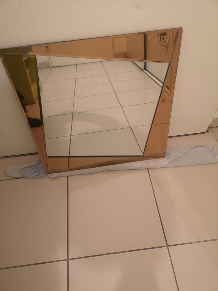 Miroirs 10 Villeneuve-Tolosane (31)