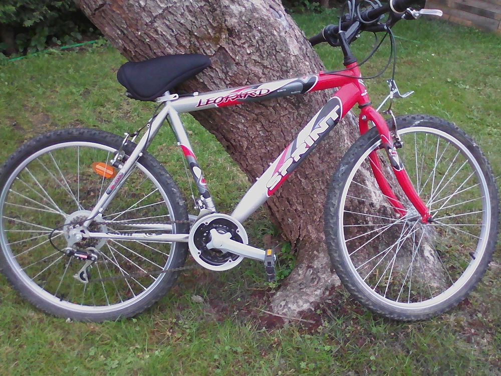 VTT Mixte 50 Sainte-Eulalie (33)