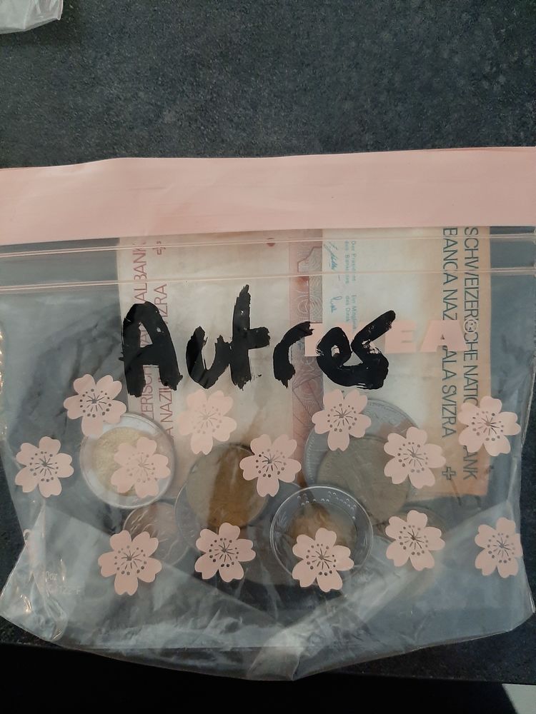 Monnaie/billet 0 Tignieu-Jameyzieu (38)