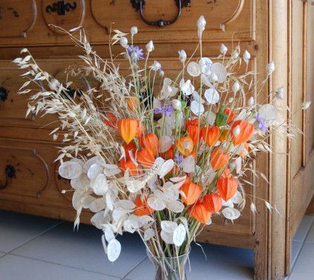 Monnaie du pape   graines 1 Sainte-Genevi�ve-des-Bois (91)