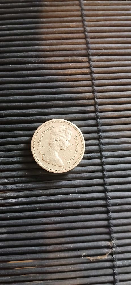 Monnaie one pound 1983, decus et tutamen, 1500 P�lissanne (13)