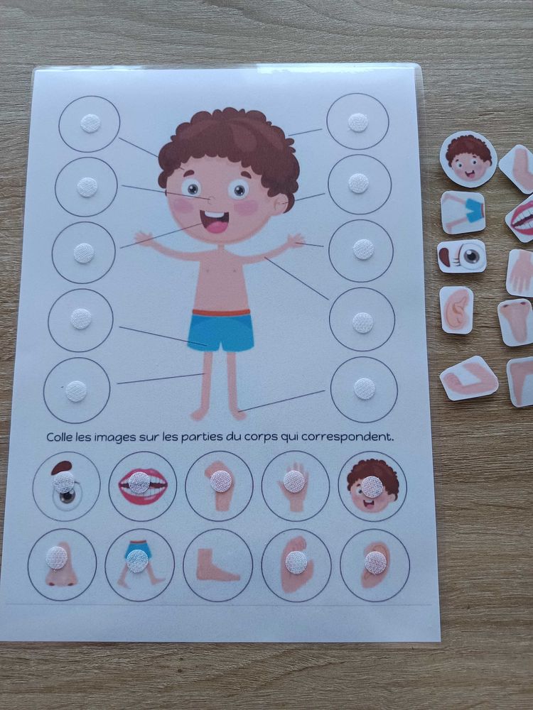 Montessori le corps humain 4 H�rouville-Saint-Clair (14)
