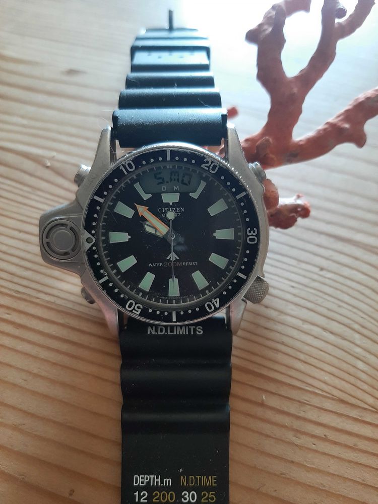 montre Citizen Aqualand 350 Casatorra (20)