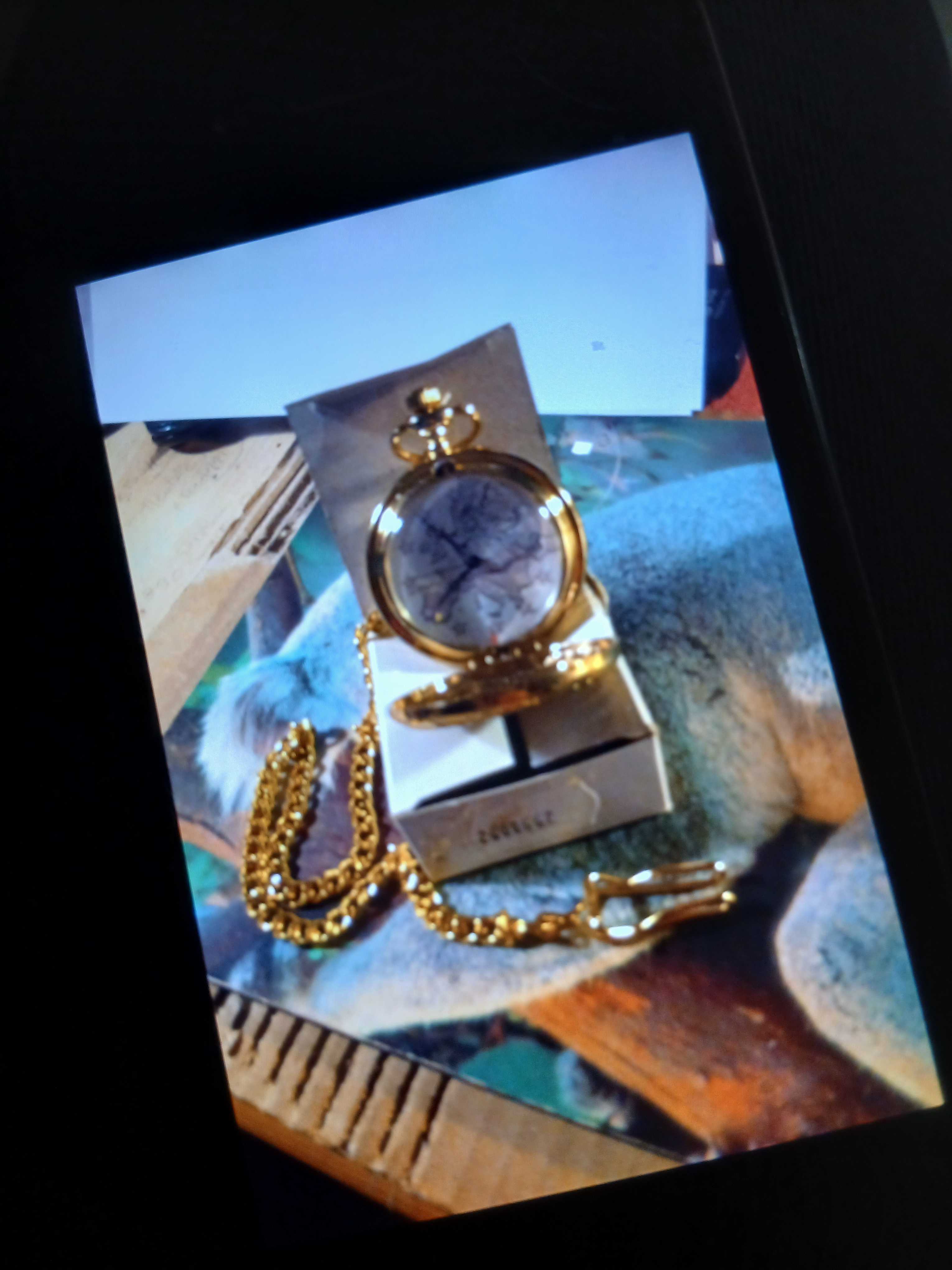 montre gousset  produit intacte 100 Selles-sur-Cher (41)