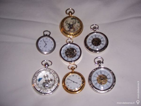 MONTRE A GOUSSET 1 Soullans (85)