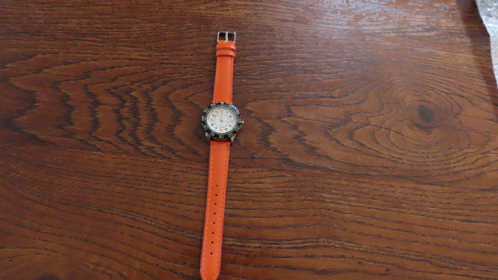 Montre mixte 15 Le Crest (63)