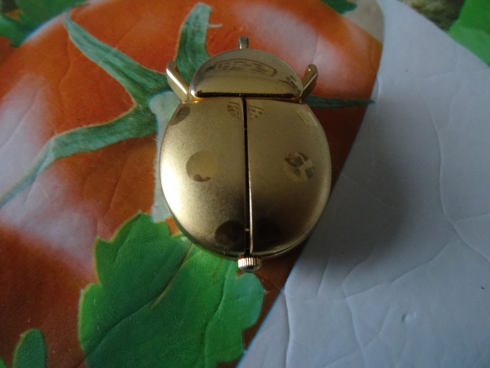 montre pendentif 6 Merville (59)