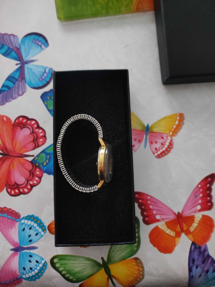 montre suisse 255 Saint-Julien-en-Saint-Alban (07)