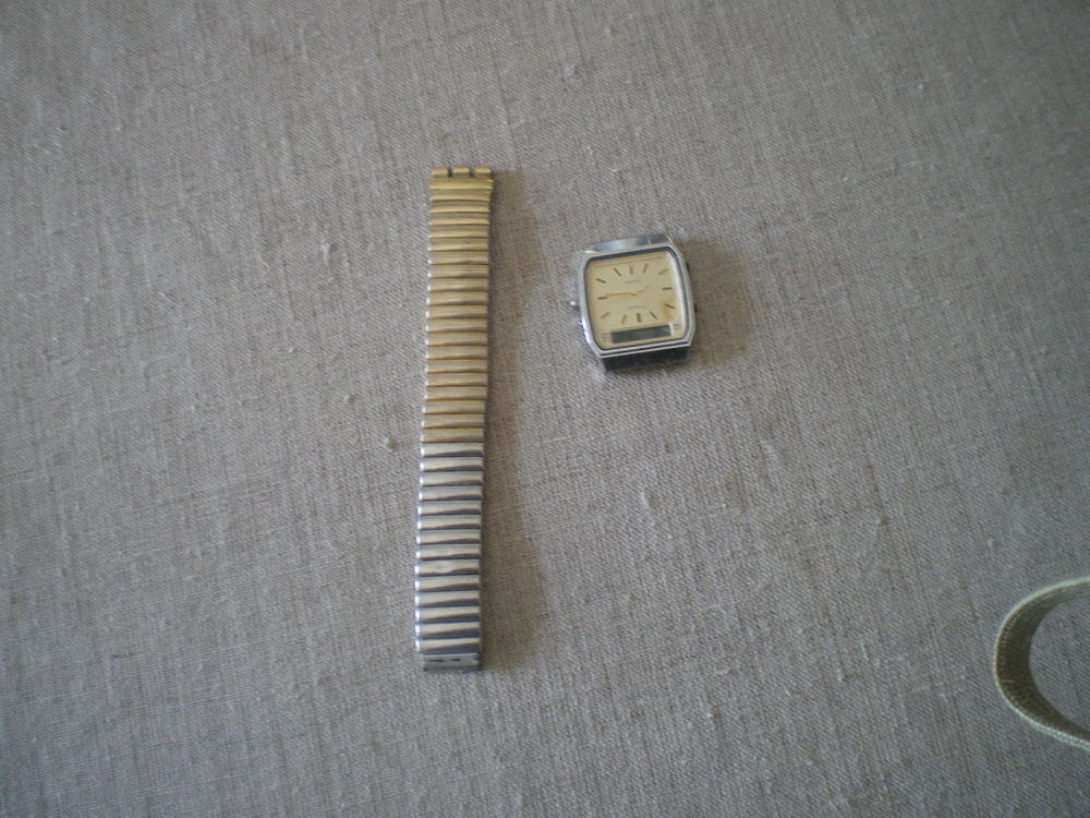 montre timex 20 Laloub�re (65)