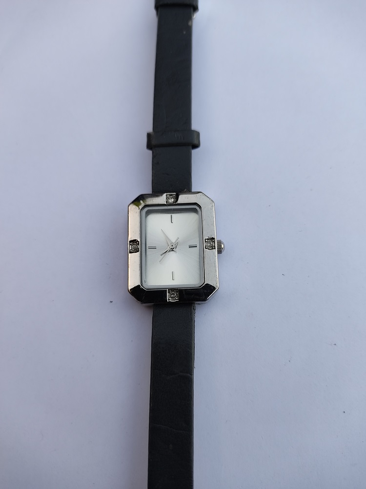 montre 20 Soullans (85)