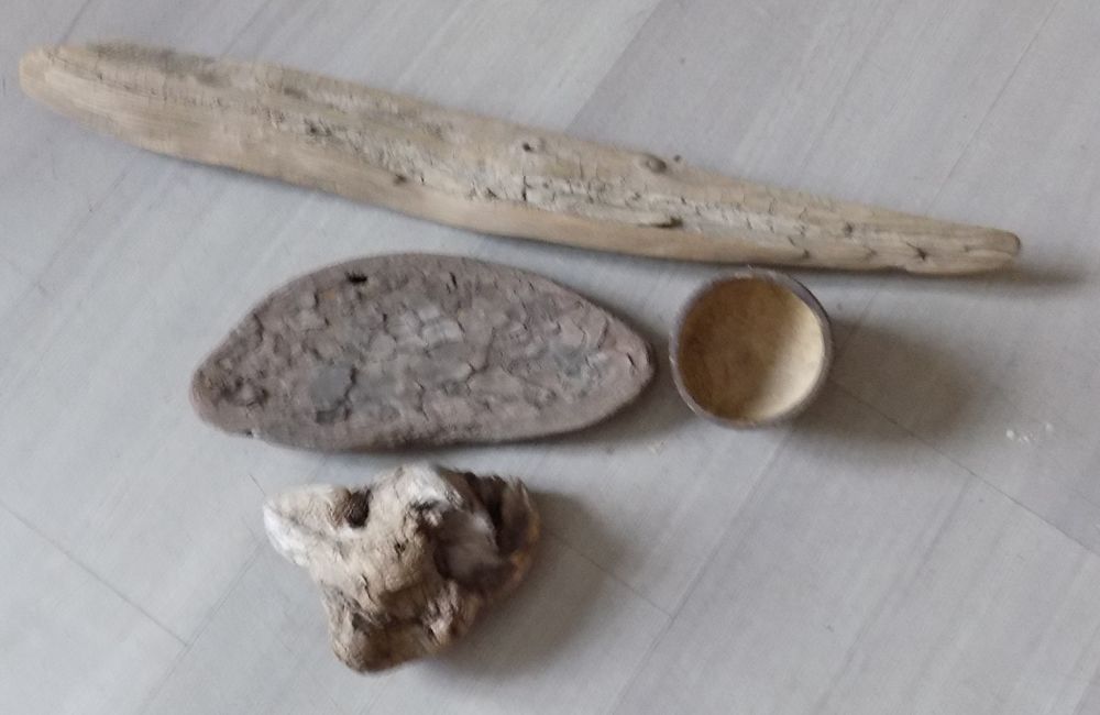 Morceaux bois 2 La Motte-d'Aveillans (38)