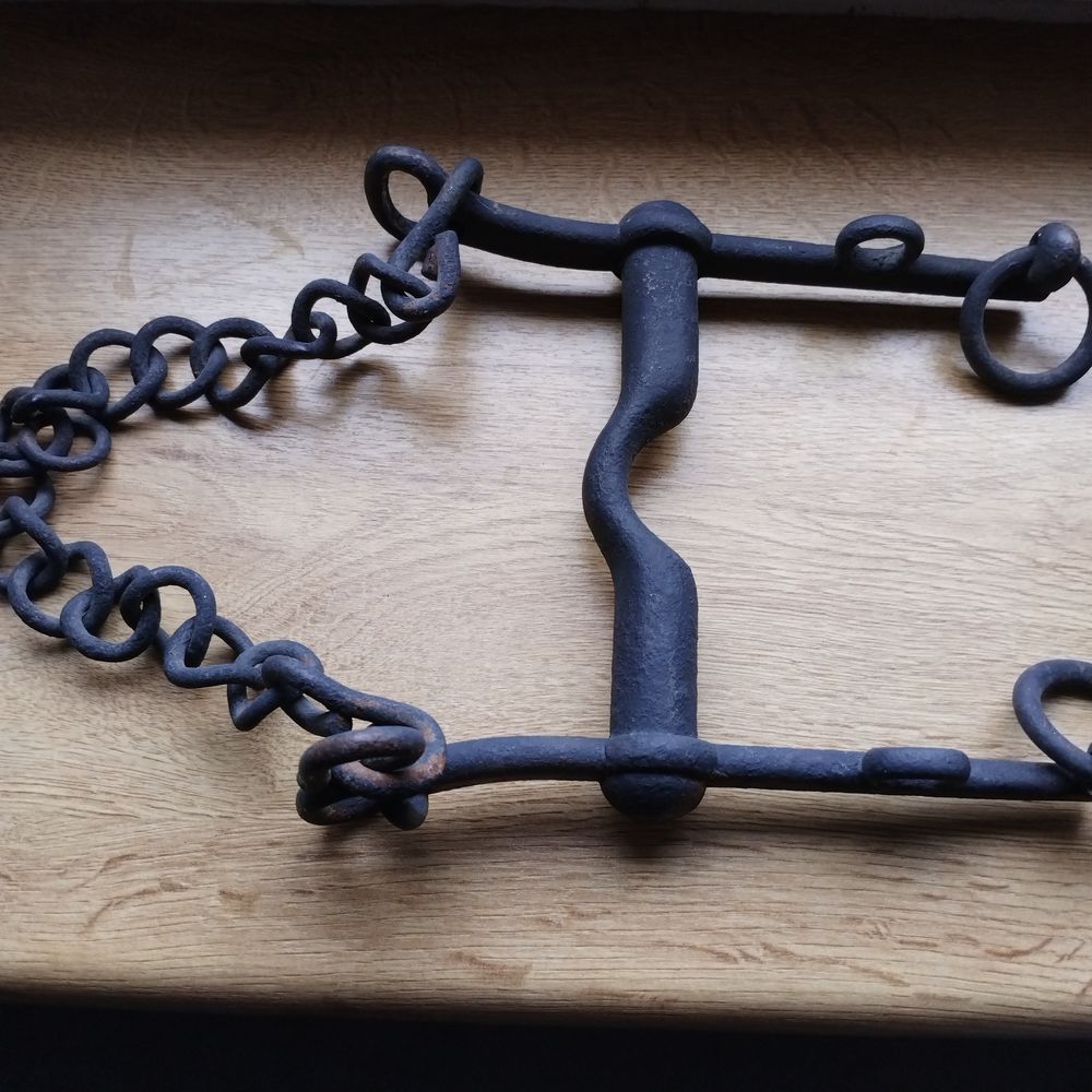 mors de chevaux 110 Fameck (57)