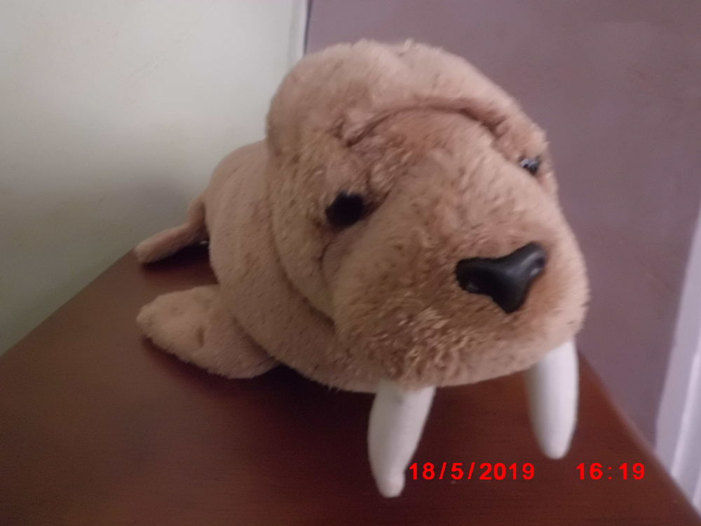 MORSE BEIGE GIPSY 15 Oignies (62)