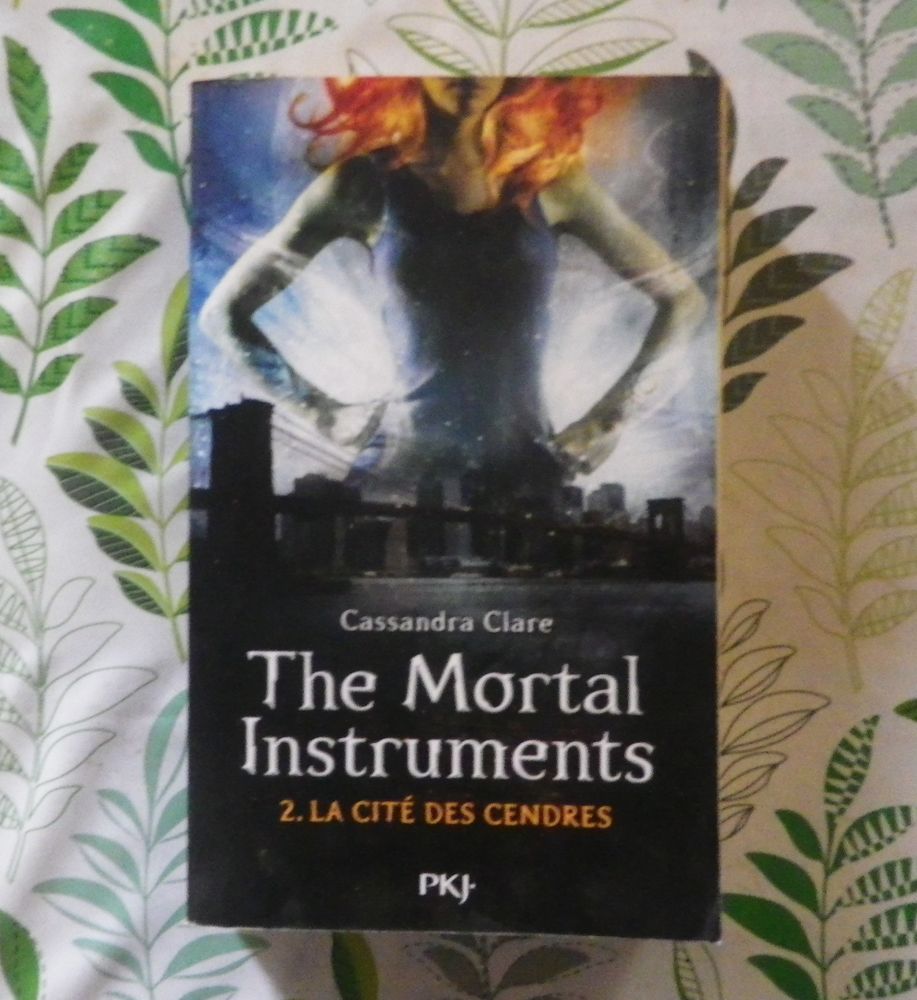 THE MORTAL INSTRUMENTS T2 LA CITE DES CENDRES de C. CLARE 5 Bubry (56)