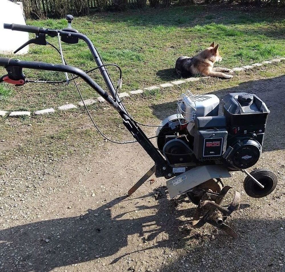 Motobineuse bestgreen 120 Champvans (39)