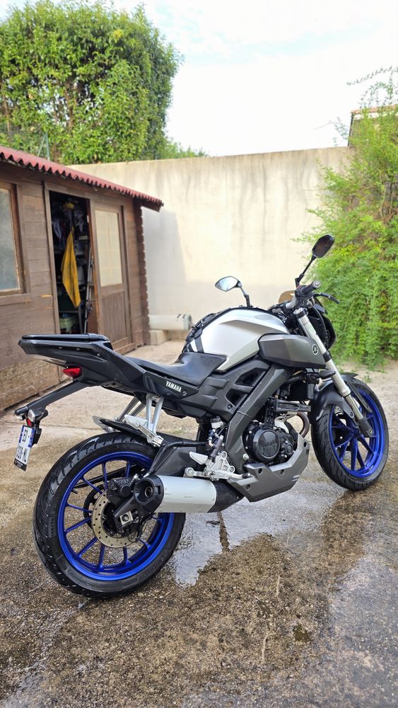 Motobineuse Briggs et Stratton 500 Series (158 cc) 100 Marseille 13 (13)