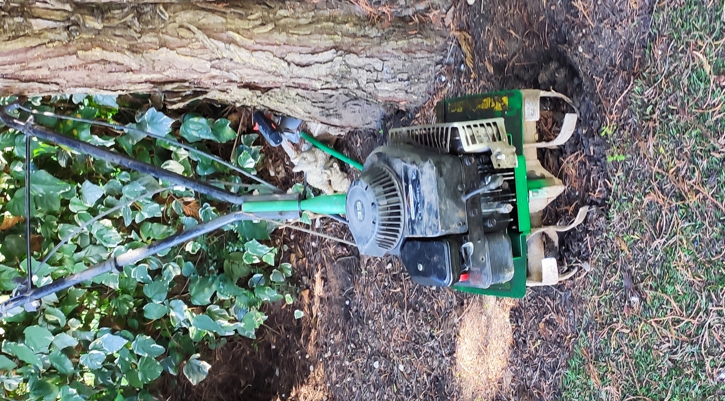 Motobineuse thermique 30 Lesparre-M�doc (33)