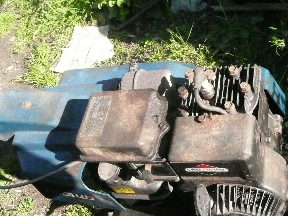 motobineuse 450 La Chapelle-Saint-Mesmin (45)