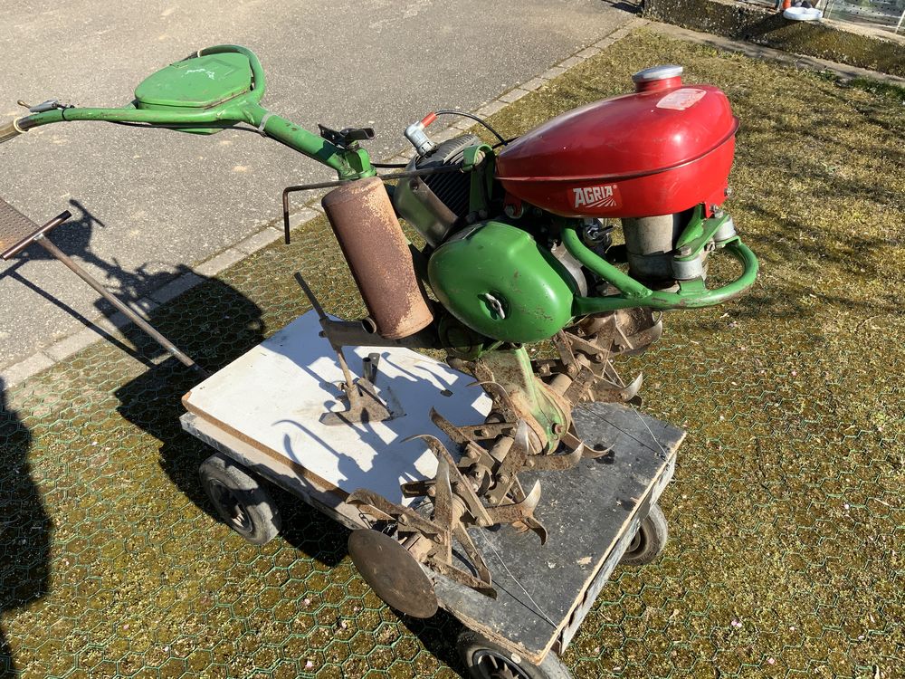 Motoculteur agria 6000 fraises 690 Pfulgriesheim (67)