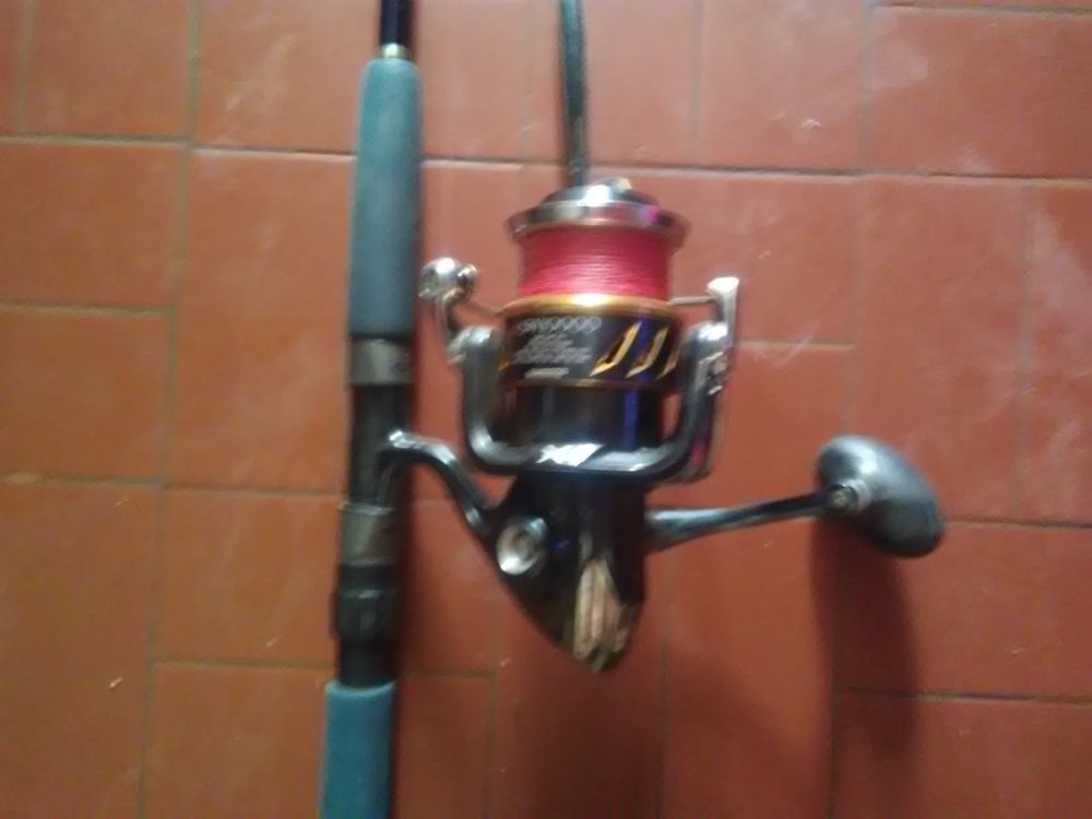 Moulinet Shimano stella 10000sw 800 Argel�s-sur-Mer (66)