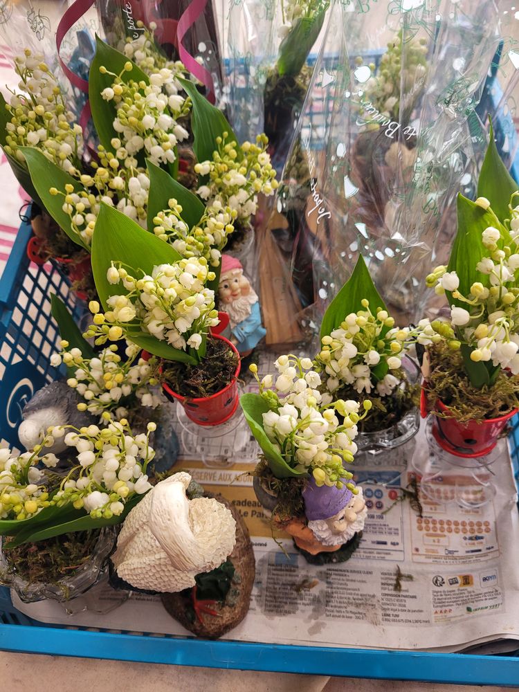 muguet pour le 1er mai 5 Courtry (77)